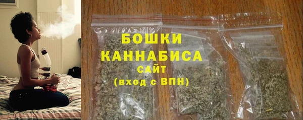 mix Богородицк