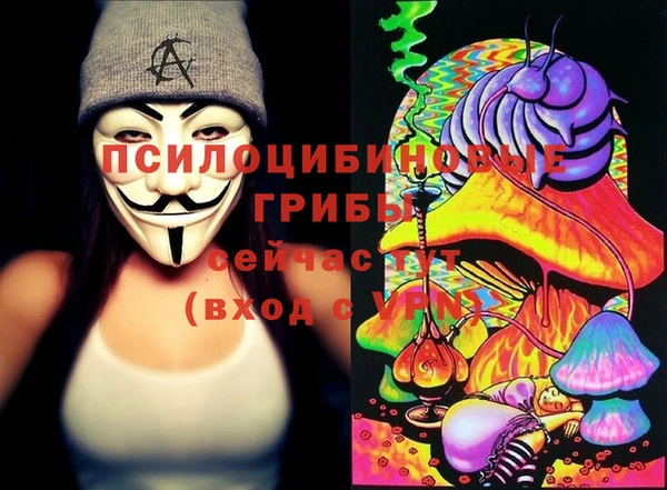 mix Богородицк