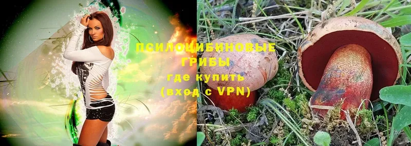 ссылка на мегу зеркало  как найти   Прохладный  Галлюциногенные грибы Magic Shrooms 